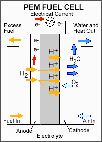 Diagram: How a Polymer Electrolyte Membrane (PEM) fuel cell works. A PEM fuel cell consists of a polymer electrolyte membrane sandwiched between an anode (negatively charged electrode) and a cathode (positively charged electrode). The processes that take place in the fuel cell are as follows: 1. Hydrogen fuel is channeled through field flow plates to the anode on one side of the fuel cell, while oxygen from the air is channeled to the cathode on the other side of the cell.  2. At the anode, a platinum catalyst causes the hydrogen to split into positive hydrogen ions (protons) and negatively charged electrons.  3. The Polymer Electrolyte Membrane (PEM) allows only the positively charged ions to pass through it to the cathode.  The negatively charged electrons must travel along an external circuit to the cathode, creating an electrical current.  4. At the cathode, the electrons and positively charged hydrogen ions combine with oxygen to form water, which flows out of the cell.