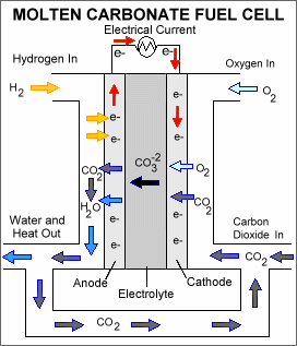 Diagram: How a Molten Carbonate Fuel Cell (MCFC) works. A MCFC consists of an electrolyte, typically a molten carbonate salt mixture suspended in a ceramic matrix, sandwiched between an anode (negatively charged electrode) and a cathode (positively charged electrode). The processes that take place in the fuel cell are as follows:  1. Hydrogen fuel is channeled through field flow plates to the anode on one side of the fuel cell, while oxygen from the air, carbon dioxide, and electricity (electrons from the fuel cell circuit) are channeled to the cathode on the other side of the cell. 2. At the cathode, the oxygen, carbon dioxide, and electrons react to form positively charged oxygen ions and negatively charged carbonate ions. 3. The carbonate ions move through the electrolyte to the anode. 4. At the anode, a catalyst causes the hydrogen combine with the carbonate ions, forming water and carbon dioxide and releasing electrons. 5. The electrolyte does not allow the electrons to pass through it to the cathode, forcing them to flow through an external circuit to the cathode. This flow of electrons forms an electrical current. 6. The carbon dioxide formed at the anode is often recycled back to the cathode.